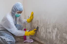 Best Emergency Mold Remediation  in Manteno, IL